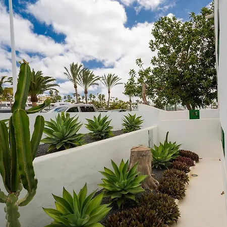 Apartment Volcan 5 *